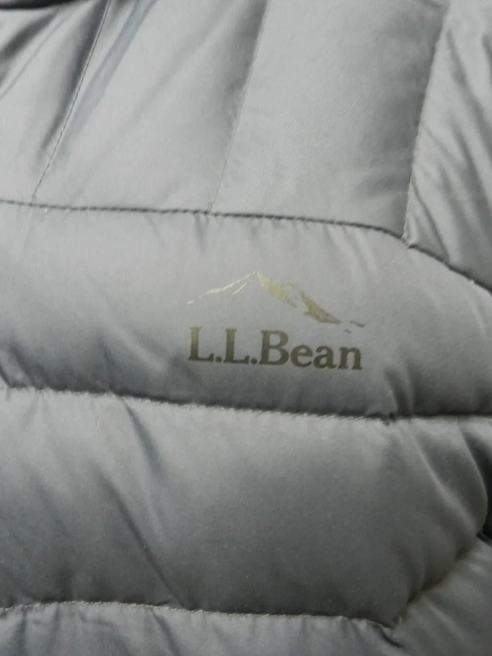 L.L. Bean excellent size